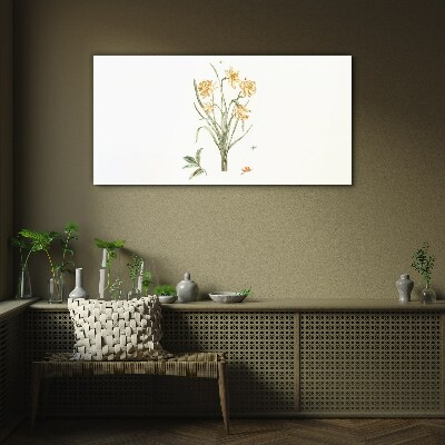 Foto op glas Narcissenbloemen met een natuurmotief