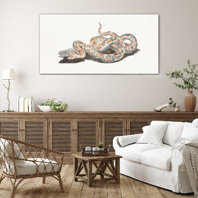 Glas foto Slangenpatroon met kleurrijke details