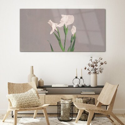 Foto op glas Bloemen op een grijze achtergrond