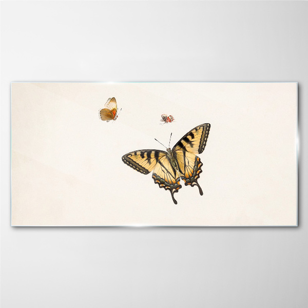 Foto op glas Vlinders in delicate harmonie