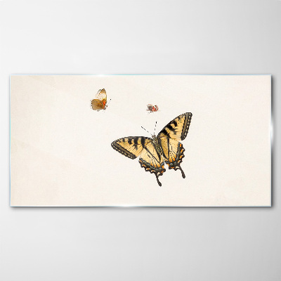 Foto op glas Vlinders in delicate harmonie