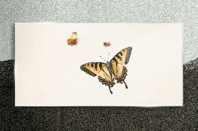 Foto op glas Vlinders in delicate harmonie