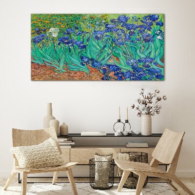 Foto op glas Irissen in bloei