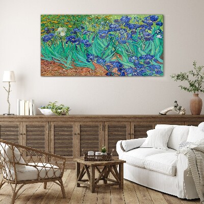 Foto op glas Irissen in bloei