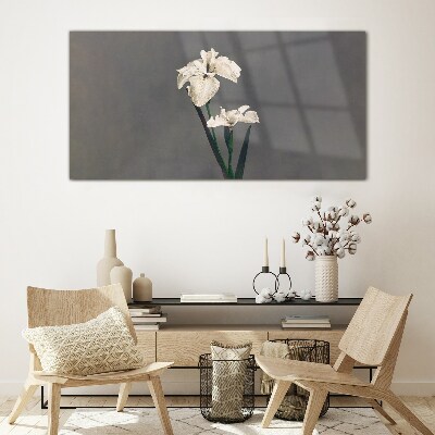 Foto op glas Witte irissen op een grijze achtergrond
