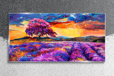 Schilderij op glas Paarse lavendelvelden bij zonsondergang