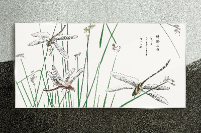 Foto op glas Slanke libellen in een groene omgeving