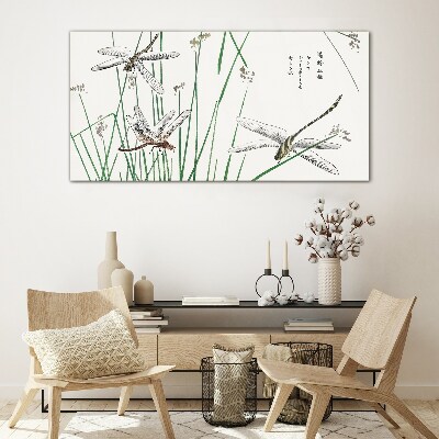 Foto op glas Slanke libellen in een groene omgeving