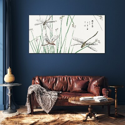 Foto op glas Slanke libellen in een groene omgeving