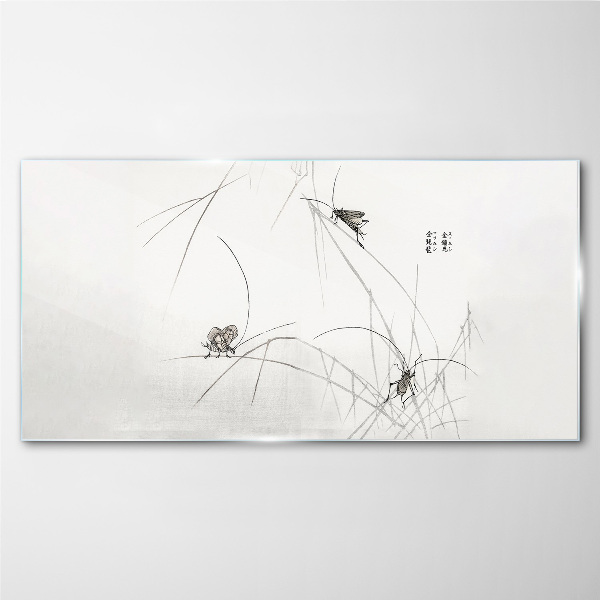 Schilderij op glas Vlinders op de grasachtergrond