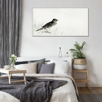 Foto op glas Een vogel op het gras