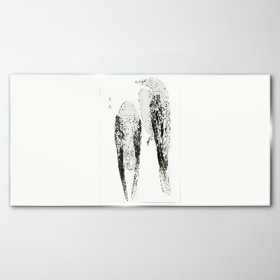 Glas foto Twee vogels op een witte achtergrond