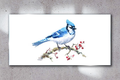 Schilderij op glas Blauwe vogel op een tak