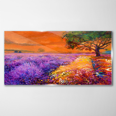 Schilderij op glas Lavendelvelden in de zonsondergang