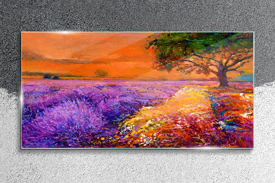 Schilderij op glas Lavendelvelden in de zonsondergang