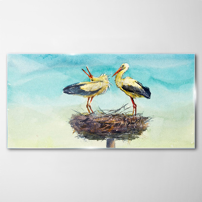 Glas foto Ooievaars op een nest in het blauw