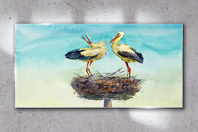 Glas foto Ooievaars op een nest in het blauw