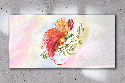 Schilderij op glas Een kleurrijke vogel op een tak