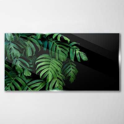 Glas foto Groene bladeren op een zwarte achtergrond