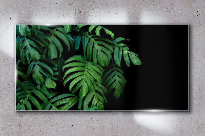 Glas foto Groene bladeren op een zwarte achtergrond