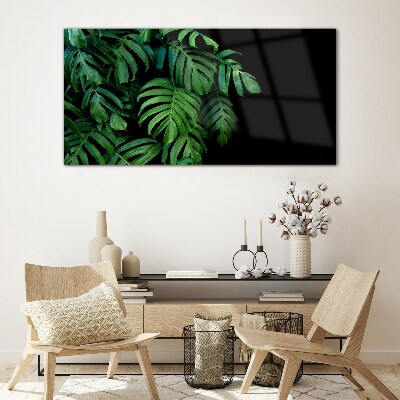 Glas foto Groene bladeren op een zwarte achtergrond