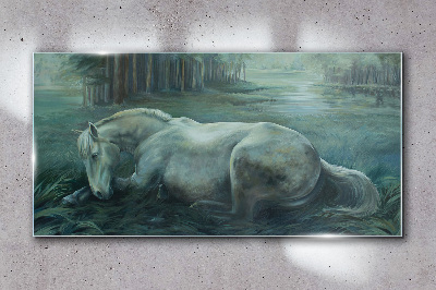 Foto op glas Een kalm paard in een boslandschap