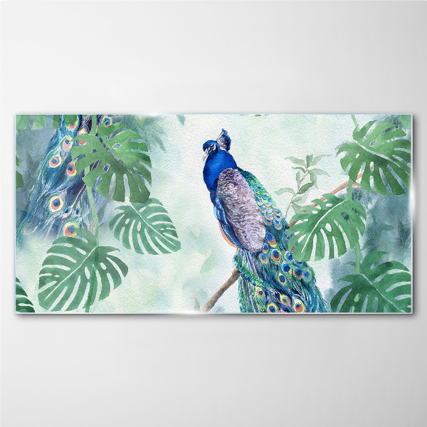 Schilderij op glas Pauw in de tropische jungle