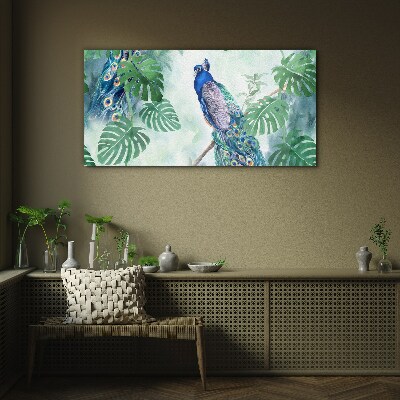 Schilderij op glas Pauw in de tropische jungle