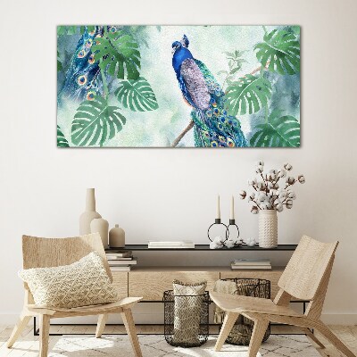 Schilderij op glas Pauw in de tropische jungle