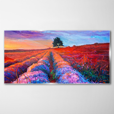 Schilderij op glas Landschap van lavendelvelden bij zonsondergang