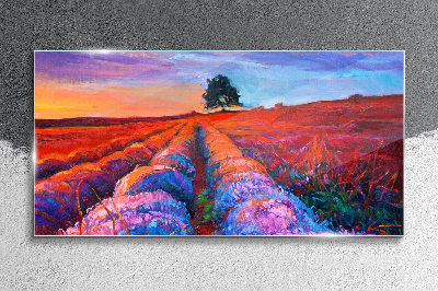 Schilderij op glas Landschap van lavendelvelden bij zonsondergang