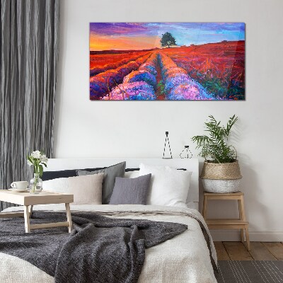 Schilderij op glas Landschap van lavendelvelden bij zonsondergang