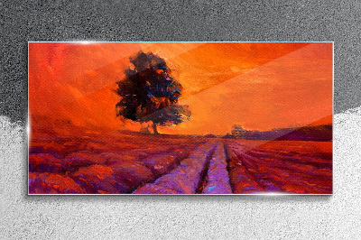 Glas foto Zonsondergang over de velden