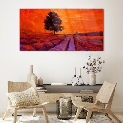 Glas foto Zonsondergang over de velden