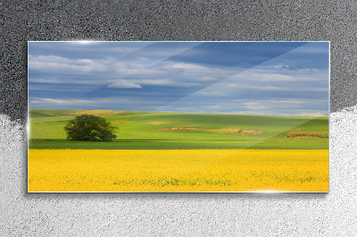 Glas foto Gele velden onder een blauwe lucht