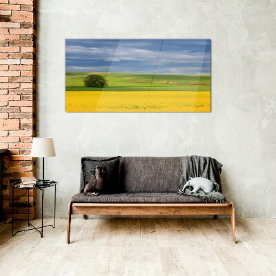 Glas foto Gele velden onder een blauwe lucht