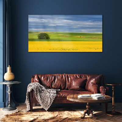 Glas foto Gele velden onder een blauwe lucht