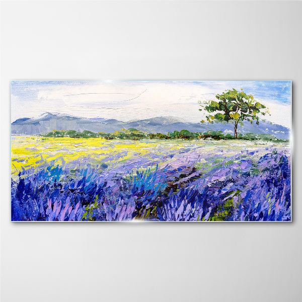 Glas foto Lavendelvelden bij daglicht