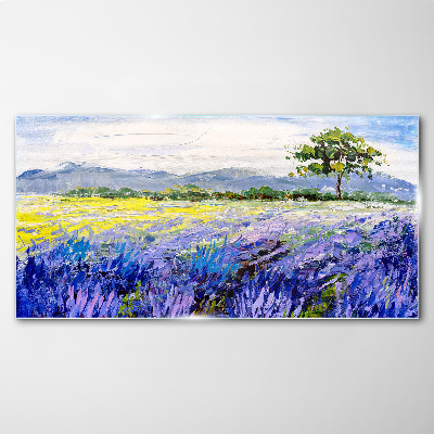 Glas foto Lavendelvelden bij daglicht