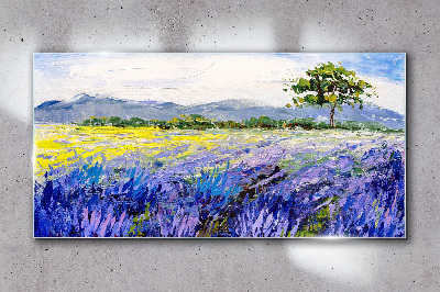 Glas foto Lavendelvelden bij daglicht