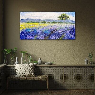 Glas foto Lavendelvelden bij daglicht