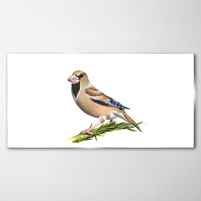 Foto op glas Een vogel op een takje