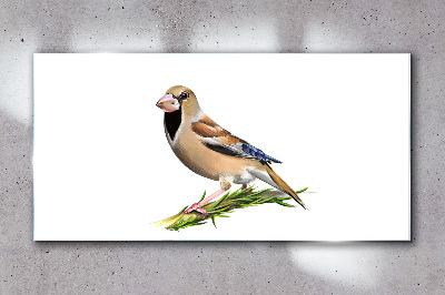 Foto op glas Een vogel op een takje