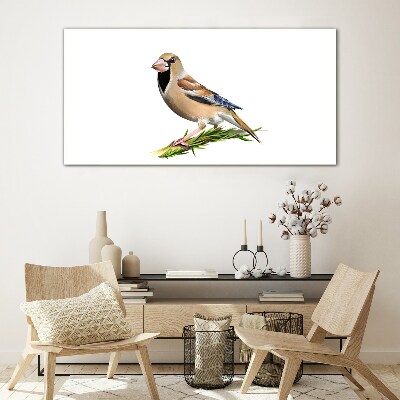 Foto op glas Een vogel op een takje