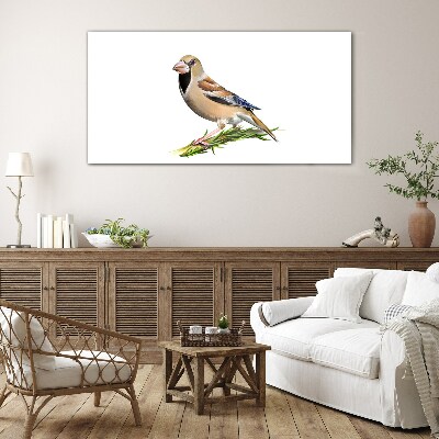 Foto op glas Een vogel op een takje