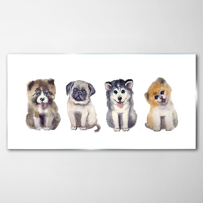 Foto op glas Vier schattige puppy's