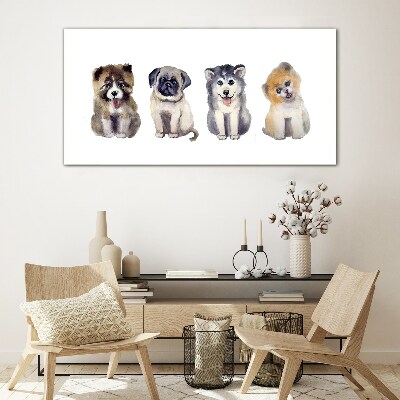 Foto op glas Vier schattige puppy's