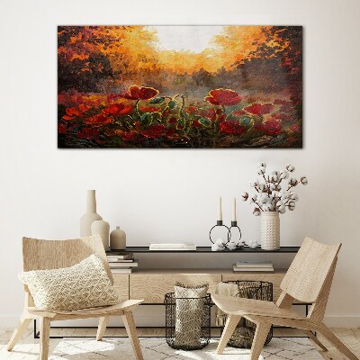 Foto op glas Gouden klaprozen in het ochtendlicht