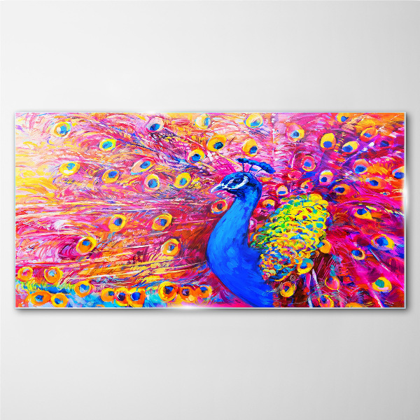 Foto op glas Een kleurrijke pauw in de lentegloed