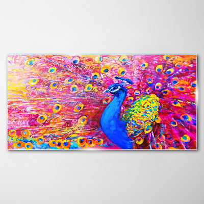 Foto op glas Een kleurrijke pauw in de lentegloed
